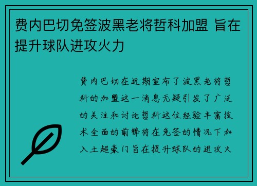 费内巴切免签波黑老将哲科加盟 旨在提升球队进攻火力